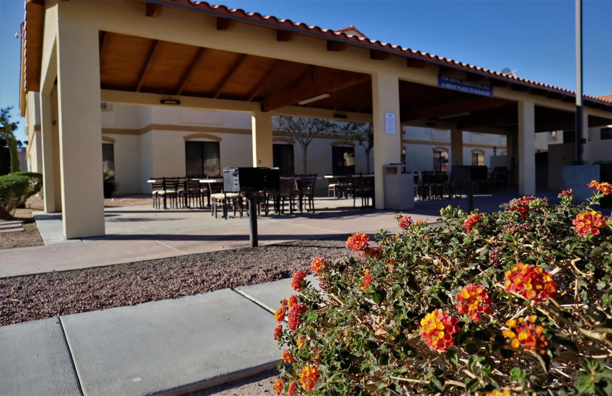 Oasis Inn And Suites 29 Palms Hotel Joshua Tree National Park Туэнтинайн-Палмс Экстерьер фото